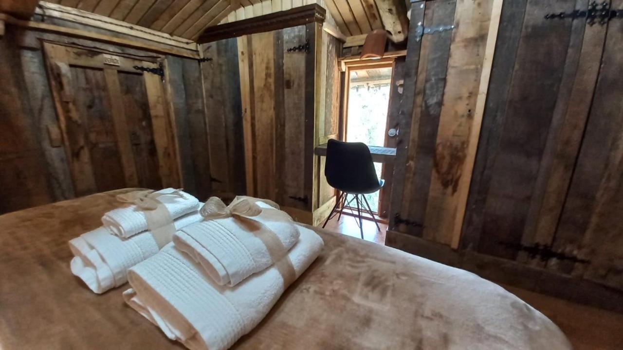 Casa Escuela De Torin - La Casona De Torin Pensionat Eksteriør billede